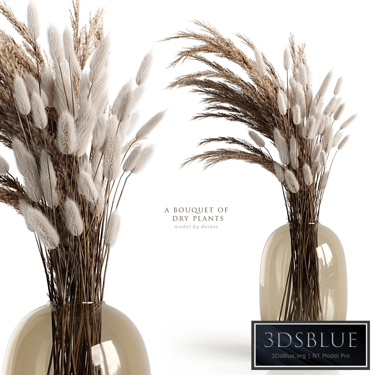 A bouquet of dry plants