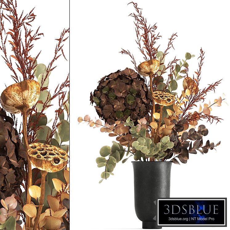 Bouquet of dried flowers in a black vase with dry red branches of Solidago, Hydrangea, Dry lotus and Barberry . 158.