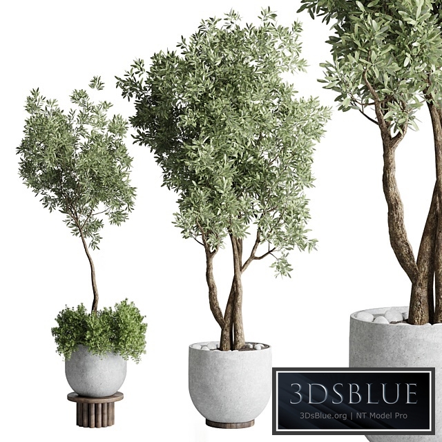 Collection Outdoor Indoor plant 52 concrete dirt vase pot tree