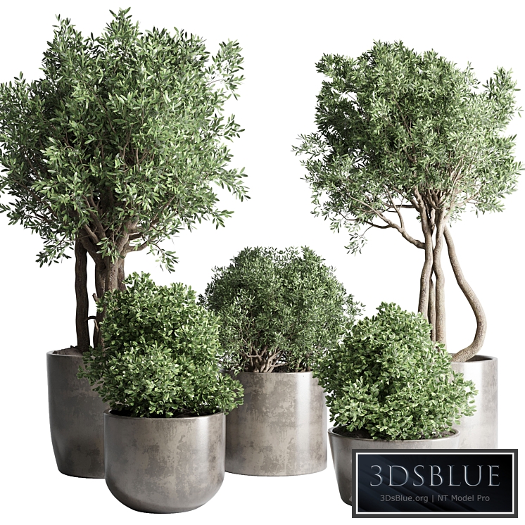 Collection Outdoor Indoor plant 53 concrete dirt vase pot tree bush