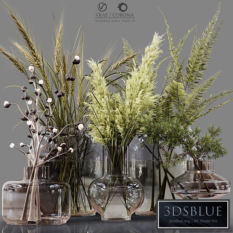 Collection Indoor Plants 03