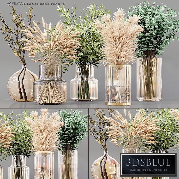 Collection Indoor Plants 02