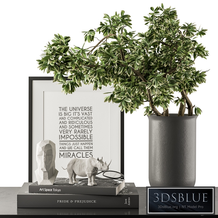 Black and Green Decorative Set with Plants - Set 77