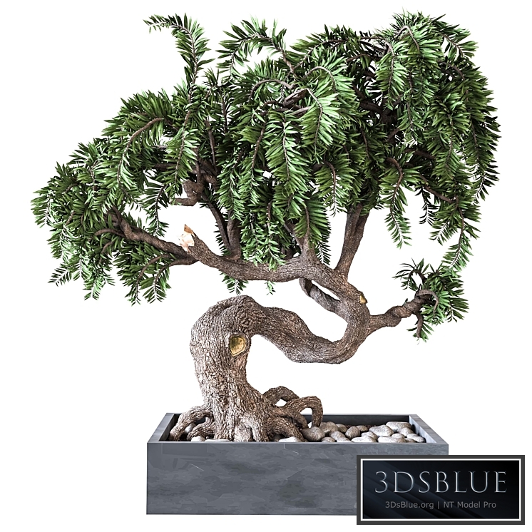 Outdoor Plant Vol 08