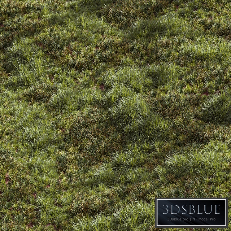 Meadow Lawn Grassland Set 002