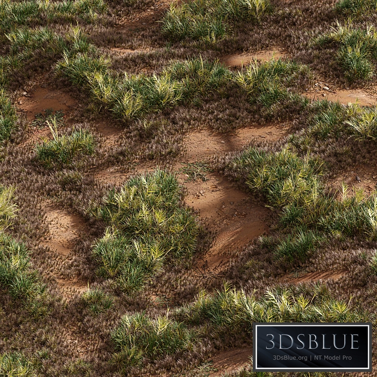 Meadow Lawn Grassland Set 003