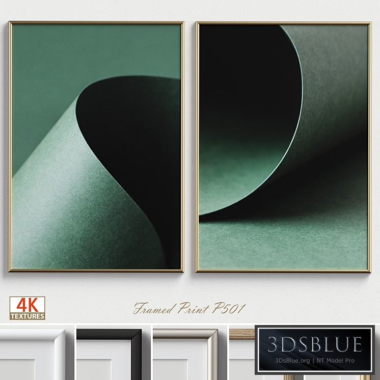 Framed Print P-501