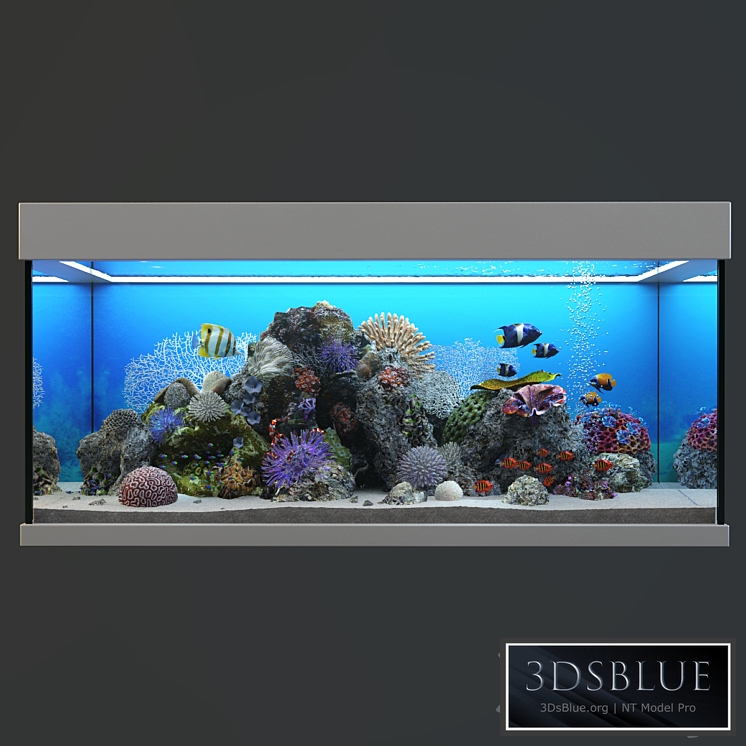 Marine Aquarium