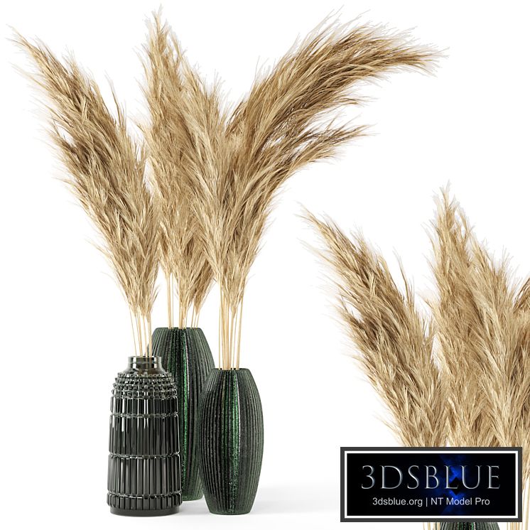 Vase Dry plants 22 - Dried Pampas in handmade vase