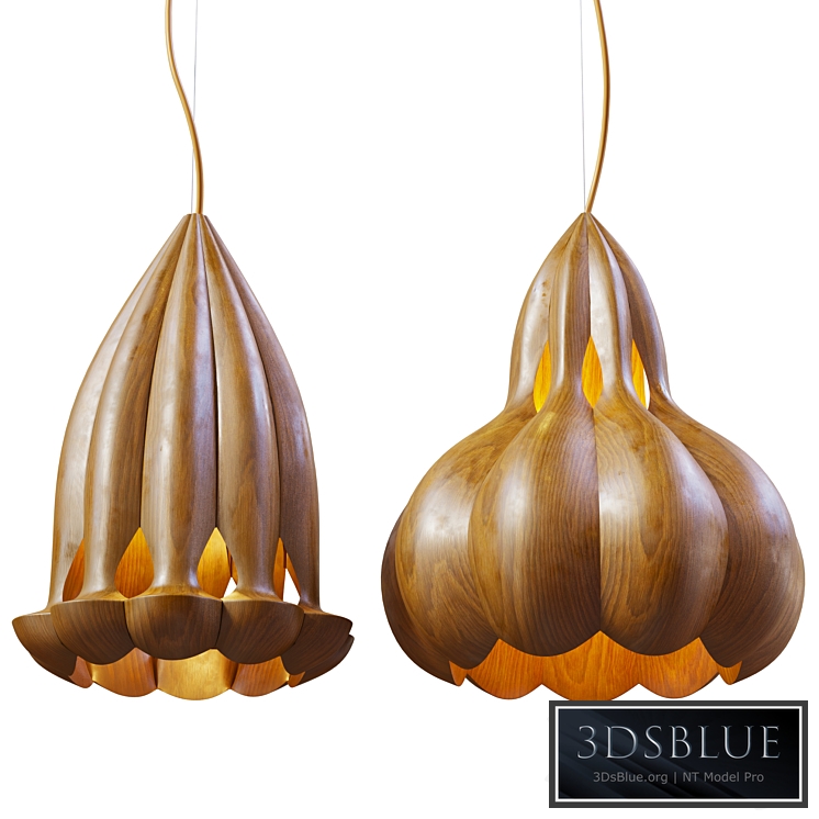 Laszlo Tompa Flower pendant light