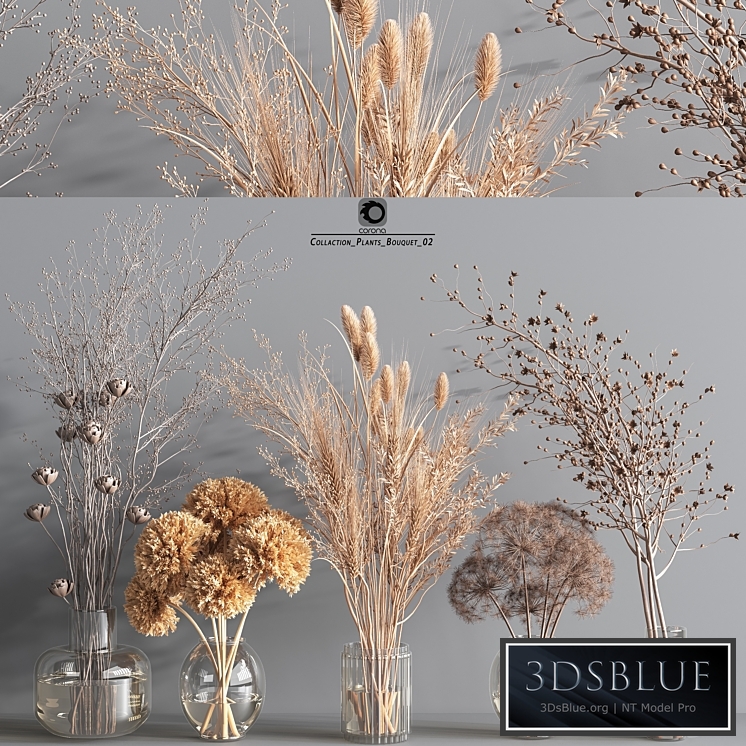 Collection Plants Bouquet 2