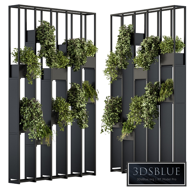 Green Wall - Plants partition 02