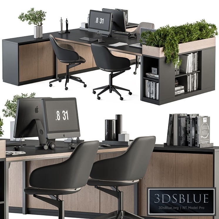 Office Furniture with Plant Box - employee Set 48