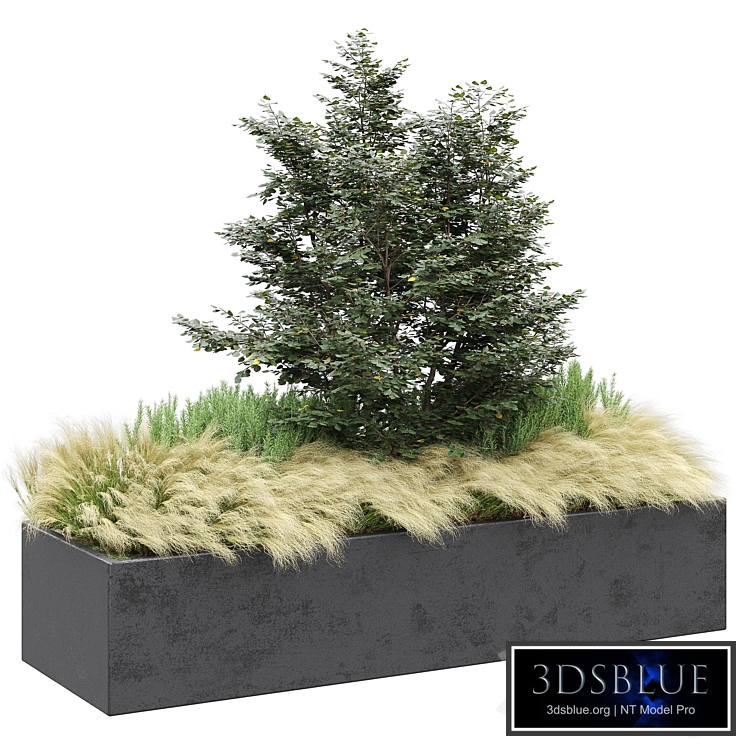 A set of outdoor plants 2