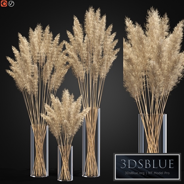 Decorative Pampas