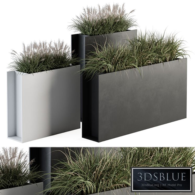 Outdoor Plant Set 288 - Grass in Plant Box