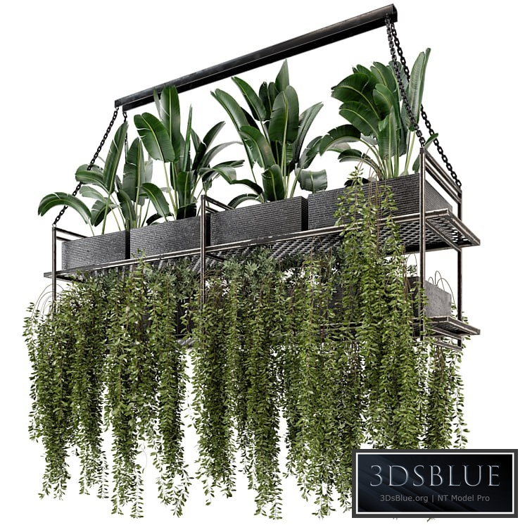Indoor Hanging Plants in Metal Box - Set 269