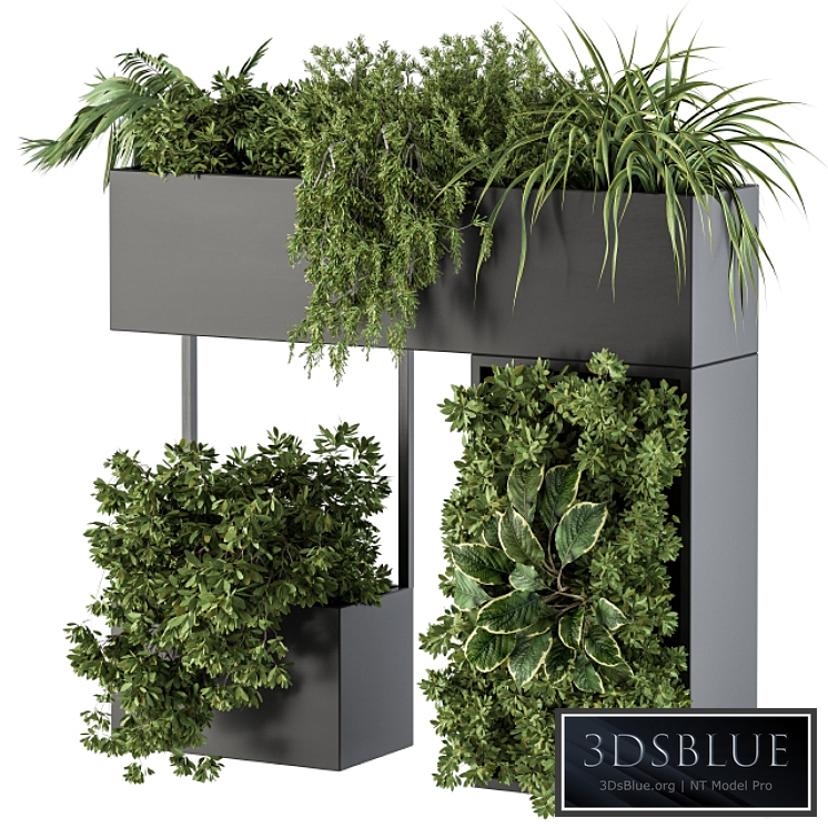 Plant Box on wall - indoor Plants 300
