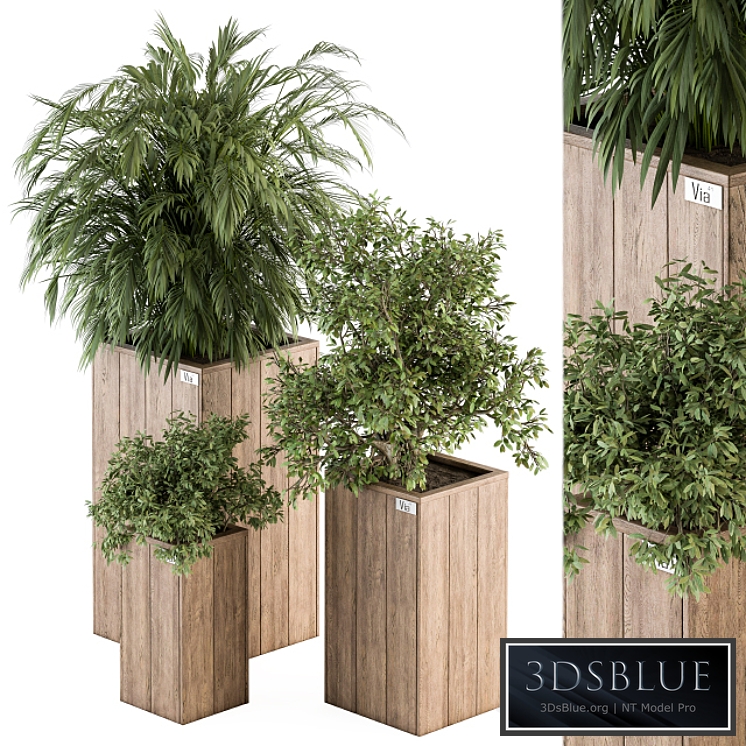 Outdoor Plant Set 297 - Wooden Plant Box 01 