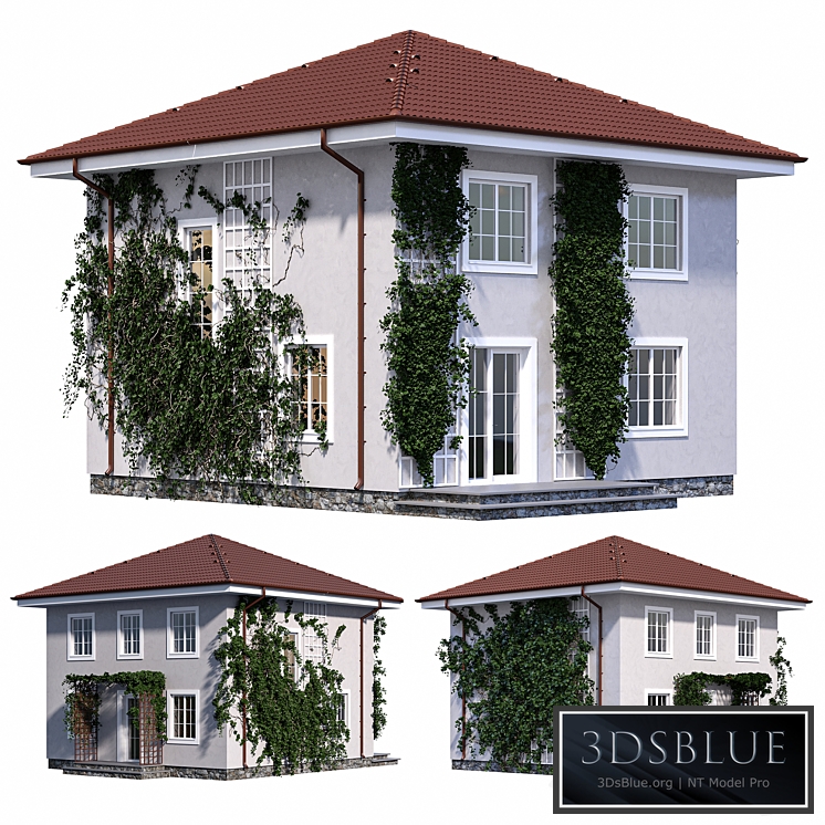Two-storey house with ivy