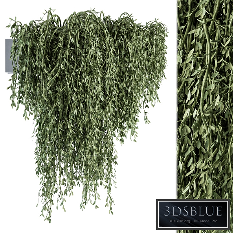 Outdoor Hanging Plants - Set 294