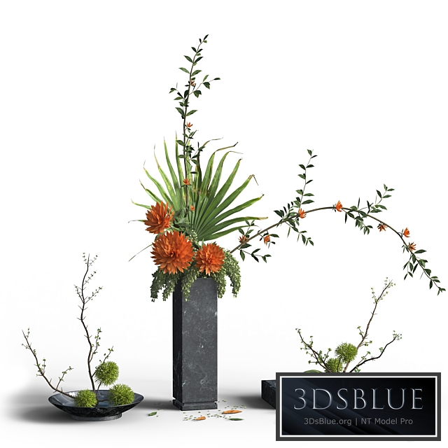 Indoor Plant Set 03 -three bouquets