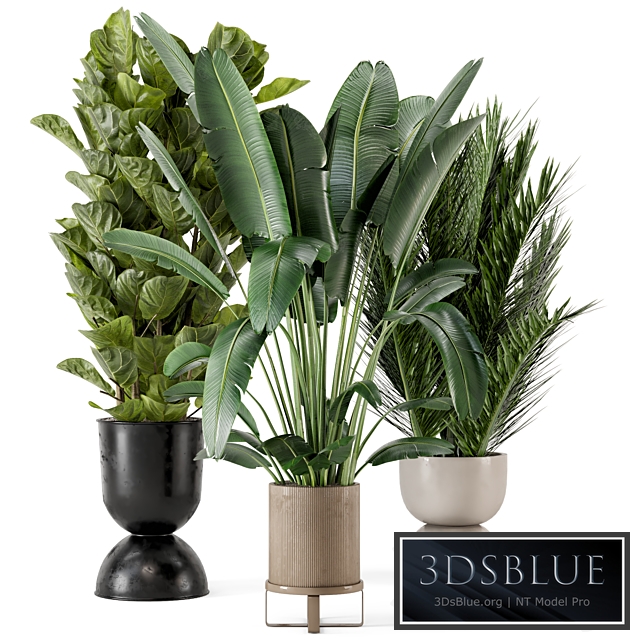 Indoor Plants in Ferm Living Bau Pot Large - Set 273