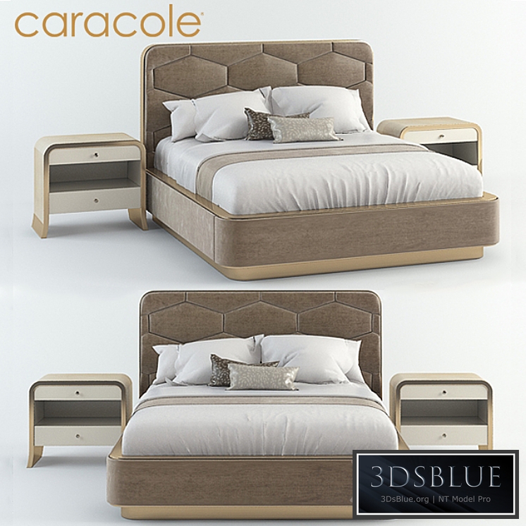 CARACOLE Dreams Come True