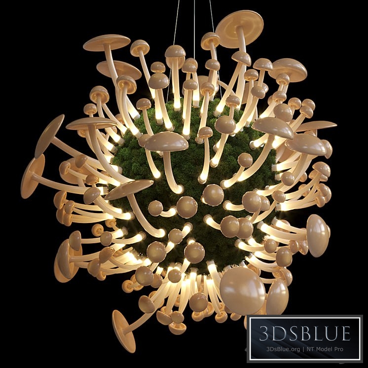 Mushrooms - Vargov Design