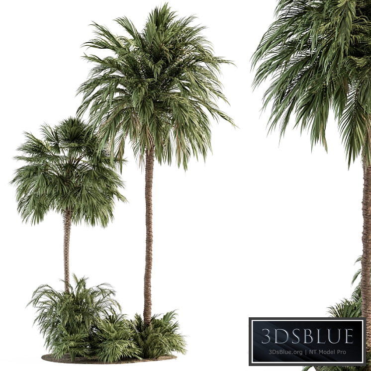 Garden set Tropical Plants - Garden Set 28