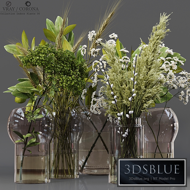 Collection Indoor Plants 06