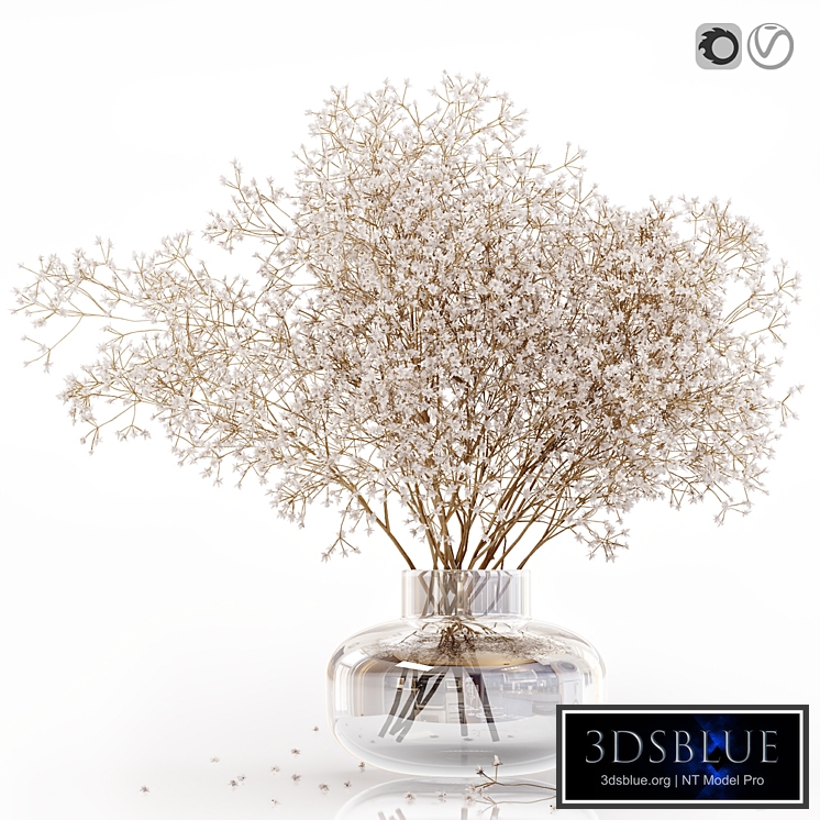 Dry flowers in modern vase