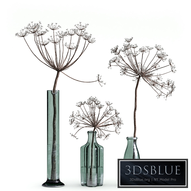 Indoor Plant Set 04-dry plants in glass vase