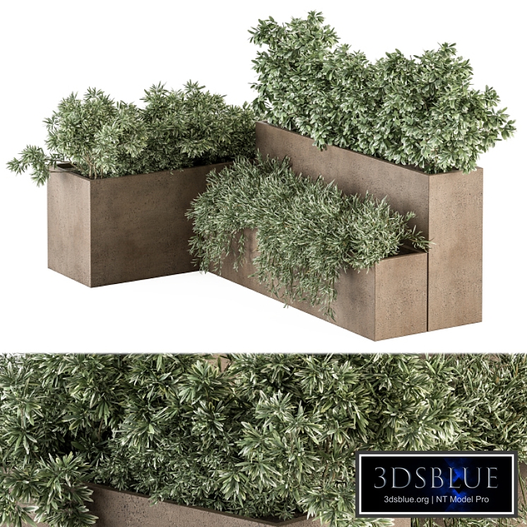 Outdoor Plant Set 278 - Concrete Plant Box Set