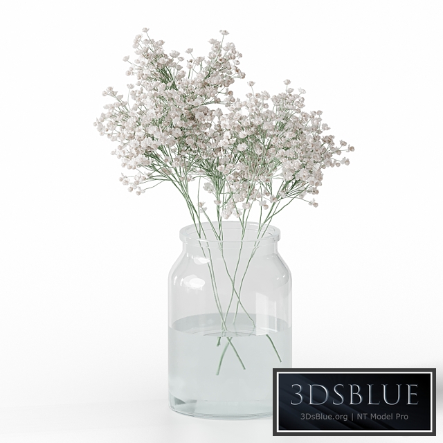 Gypsophila bouquet