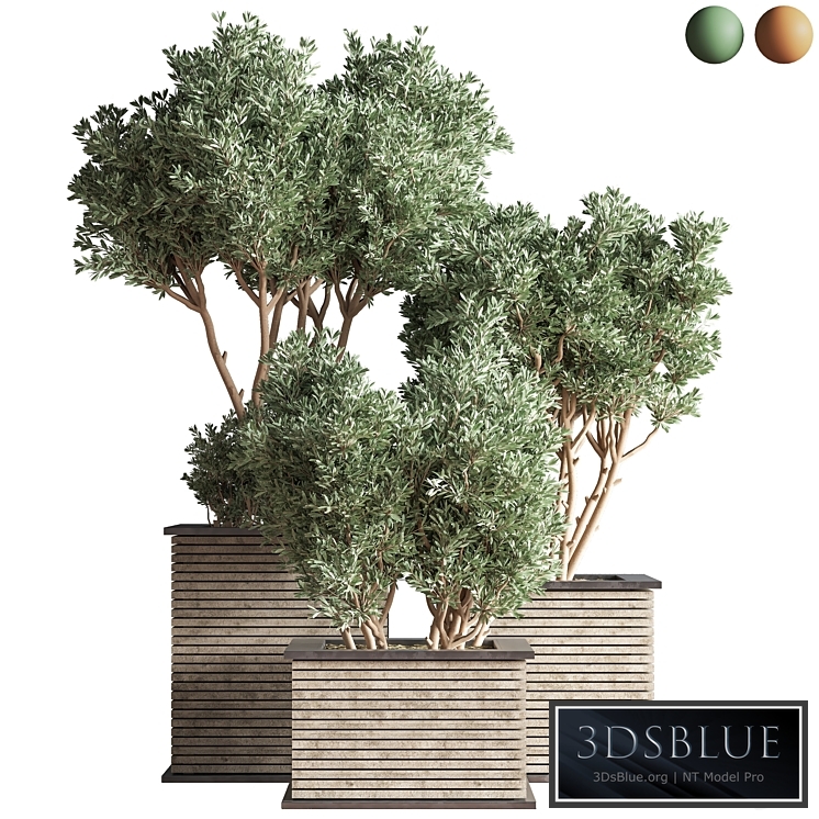 Outdoor_Plants_tree_22