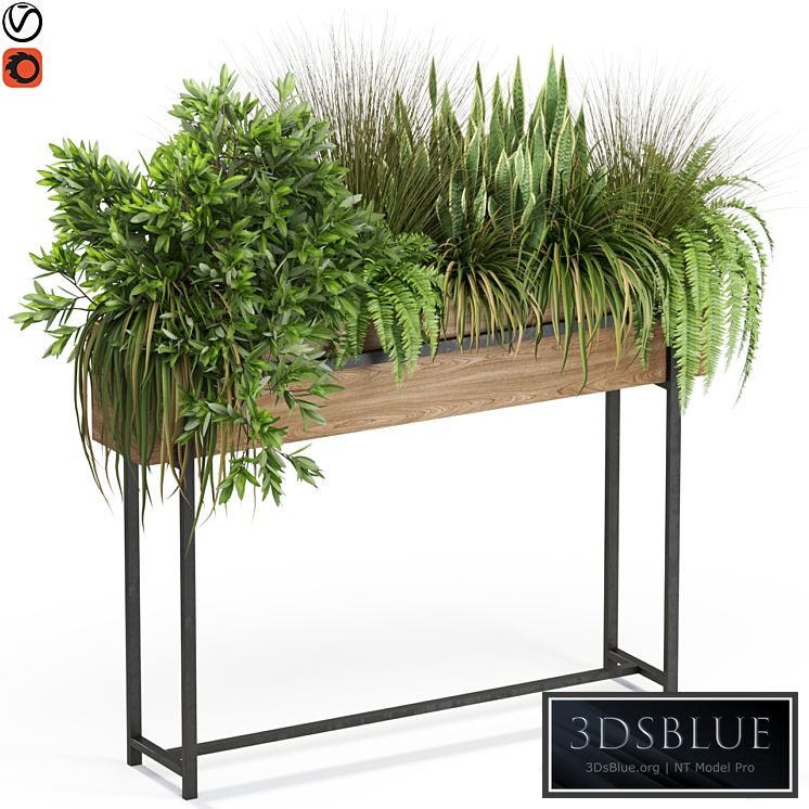 Plants collection 587