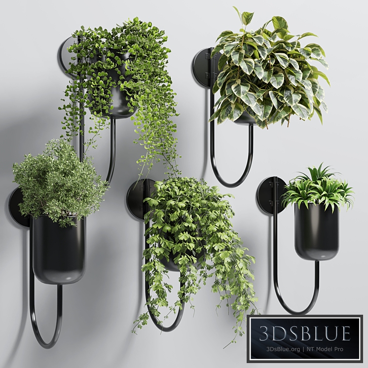 collection Indoor plant 135 vase metal stand wall plant