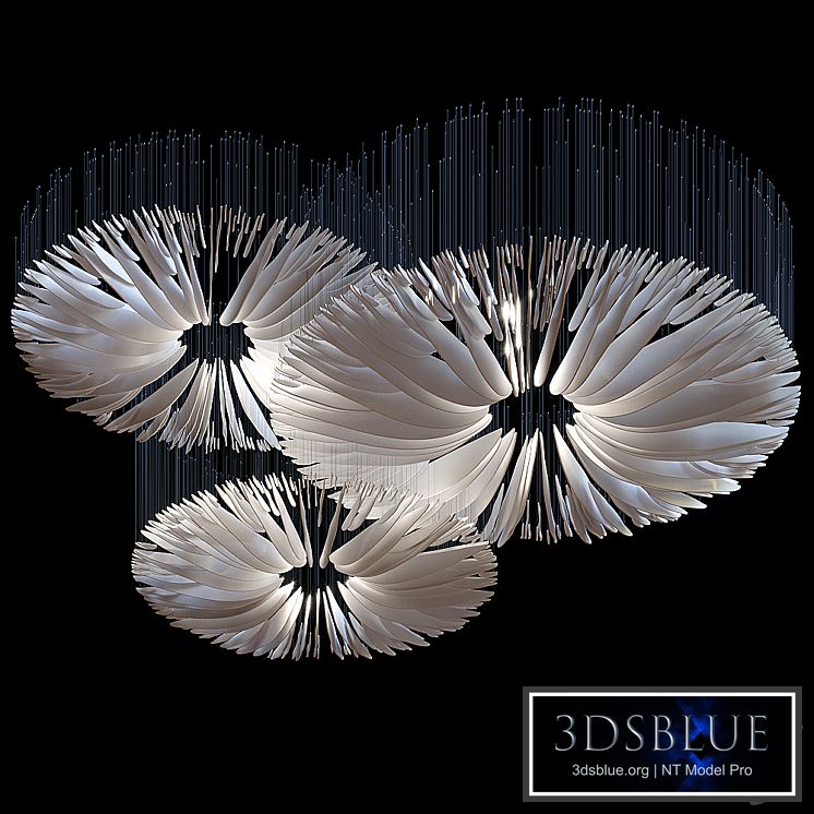 Hanging composition Vargov Design - Oudemansiella