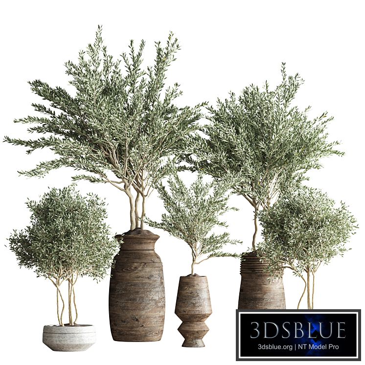 indoor plant set 23
