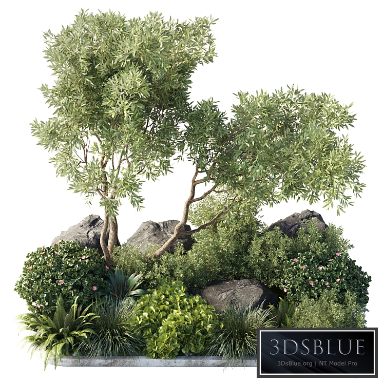 Collection outdoor indoor 62 pot plant & tree & bush & fern the garden pot