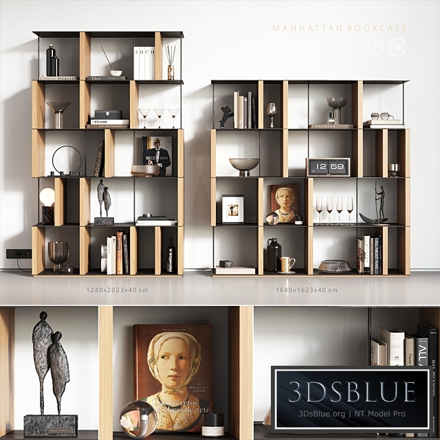 Manhattan bookcase