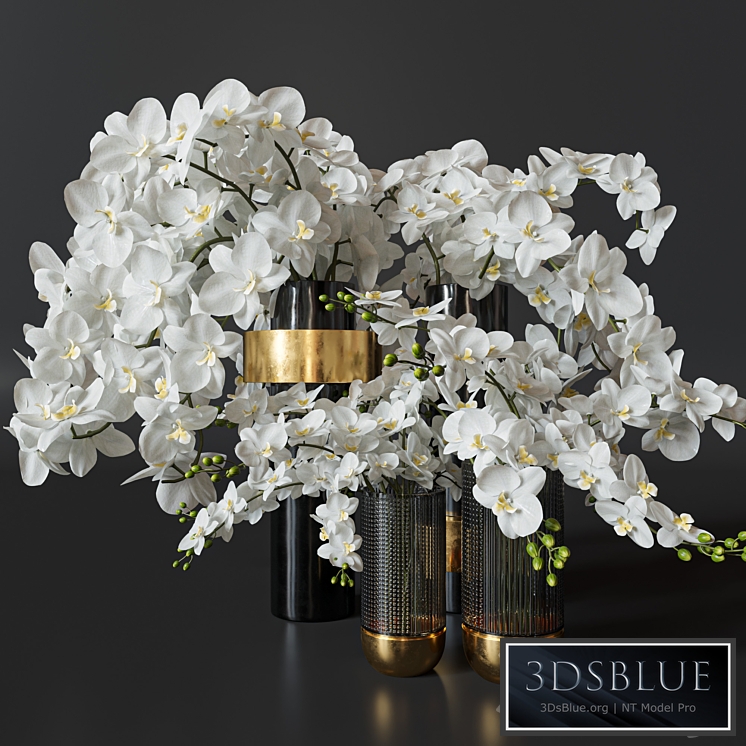 Flower Set 009 Orchids.