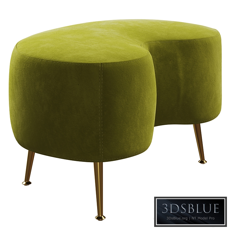 Kidney by Jonathan Adler