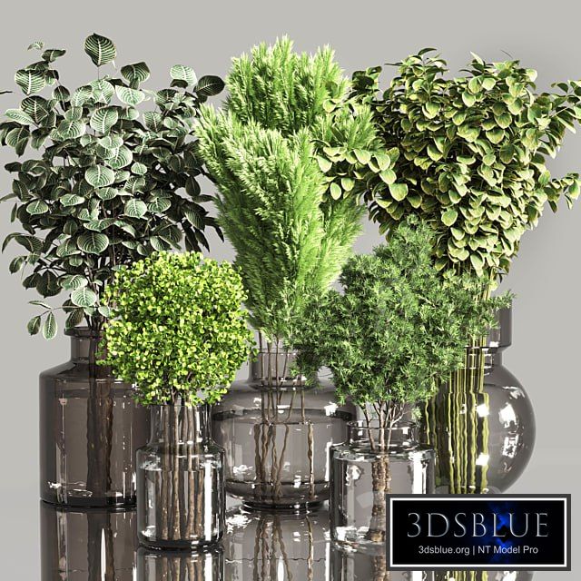 3718837.616c40de4bea1