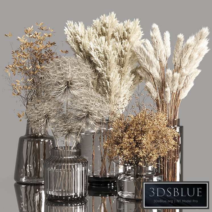 Collection Dry Plants Bouquet Indoor 02