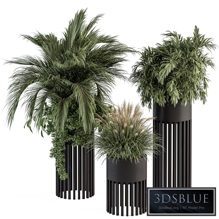 indoor Plant Set 301 - Plant Set in Round Stand Black pot