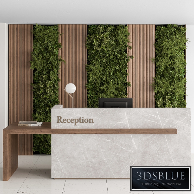 Reception Desk and Wall Decor with vertical Garden - Office Set 238