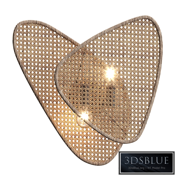 Screen cannage scone