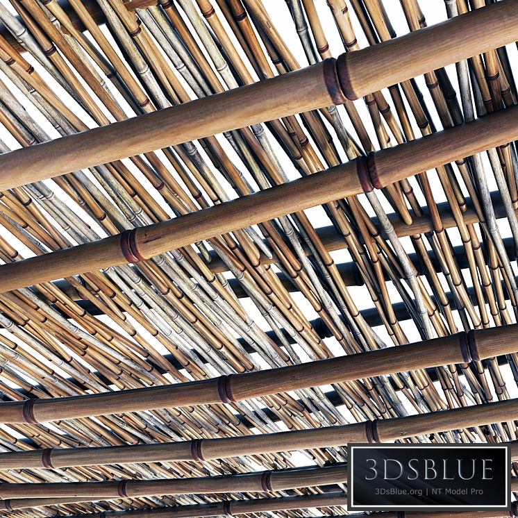 Branch bamboo long low n2